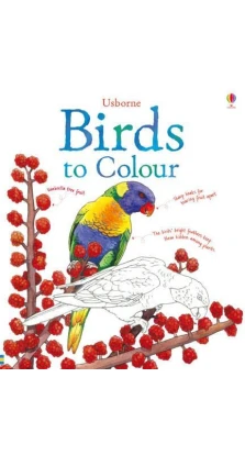 Birds to Colour. Megan Cullis