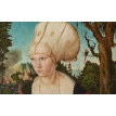 Cranach. The Early Years in Vienna. Фото 2