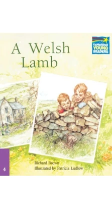 A Welsh Lamb. Level 4. Richard Brown