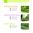 Цветники. 95 простых композиций для любого уголка сада. Татьяна Дмитриевна Шиканян. Фото 5