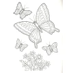 Цветы и бабочки. Т. Коваль. Фото 4