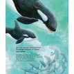 Дельфинчик и его морские соседи. Познавательные истории. Фридерун Райхенштеттер. Фото 8
