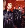 Depeche Mode: Faith & Devotion. Иен Гиттинс. Фото 7