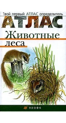 Животные леса. Евгения Бровкина. Владислав Сивоглазов