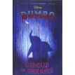 Dumbo: Circus of Dreams. Кари Сазерленд. Фото 1