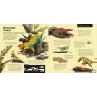 Епоха динозаврів. Стівен Брусатті. Фото 7