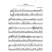 Естрадно-джазові п’єси для баяна (акордеона): Випуск 6. Фото 2