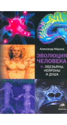 Эволюция человека /в 2-х книгах/. Книга 2: Обезьяны, нейроны и душа. Александр Марков
