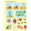First Sticker Book: Fruit & Vegetables. Ханна Уотсон. Фото 2