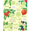 First Sticker Book: Fruit & Vegetables. Ханна Уотсон. Фото 3