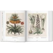 Basilius Besler's Florilegium. The Book of Plants. Клаус Вальтер Литтгер (Klaus Walter Littger). Фото 7