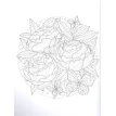 Flowers­ 2. Творческая раскраска великолепных цветов. Линда Тейлор. Фото 3