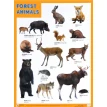 Forest Animals (Лесные обитатели). Фото 1