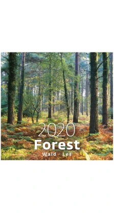 Forest (Лес) 2020
