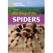 King of Spiders (British English). National Geographic. Роб Уорінг. Фото 1