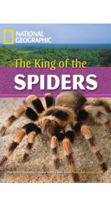 King of Spiders (British English). Роб Уорінг. National Geographic
