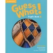 Guess What! Level 6 Pupil's Book British English. Kay Bentley. Susannah Reed. Фото 1