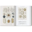 The Art and Science of Ernst Haeckel. 40th Anniversary Edition. JuliaVoss. Rainer Willmann. Фото 2
