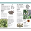 Herbal Remedies Handbook. More Than 140 Plant Profiles; Remedies for Over 50 Common Conditions. Эндрю Шевалье. Фото 7