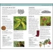 Herbal Remedies Handbook. More Than 140 Plant Profiles; Remedies for Over 50 Common Conditions. Ендрю Шевальє. Фото 8