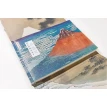 Hokusai. Thirty-six Views of Mount Fuji. Андреас Маркс. Фото 5