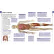 Human Anatomy. The Definitive Visual Guide. Фото 5
