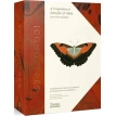 Iconotypes. A compendium of butterflies and moths. Joness Icones Complete. Фото 2