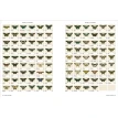 Iconotypes. A compendium of butterflies and moths. Joness Icones Complete. Фото 5