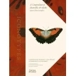 Iconotypes. A compendium of butterflies and moths. Joness Icones Complete. Фото 1