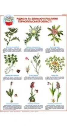 Книга «Дидактичний матеріал. Рідкісні та зникаючі рослини Тернопільської області. Таблиця 2»