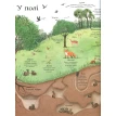 Велика ілюстрована книга про природу. Минна Лейси. Фото 9