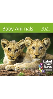 Baby Animals (Забавные малыши) 2020