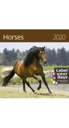 Horses (Лошади) 2020