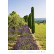 Provence (Прованс) 2020. Фото 11