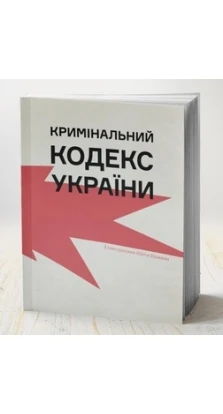 Кримінальний кодекс України. Анна Копилова