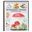 Лечебные грибы. Фунготерапия. Ирина Александровна Филиппова. Фото 1