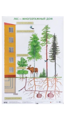 Лес-многоэтажный дом. Плакат. Светлана Николаевна Николаева