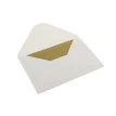 Листівка Moleskine з конвертом середня / Маїс. Фото 3