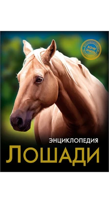 Лошади. Леся Калугина