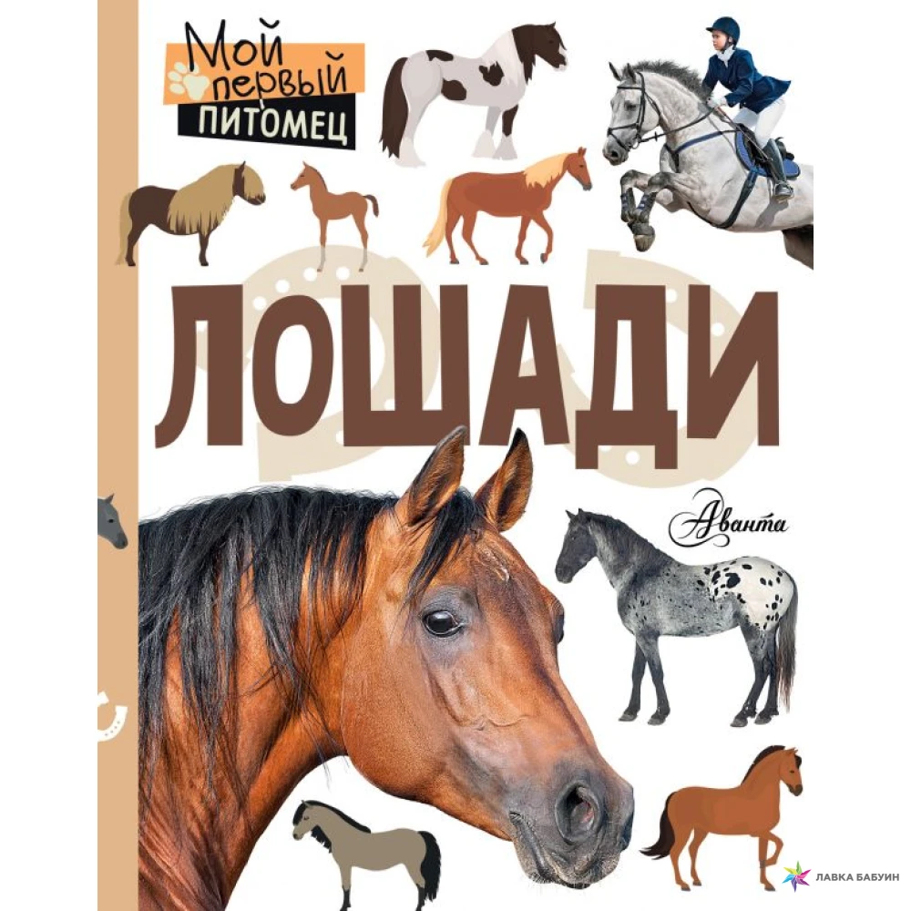 Книги верховая. Книги про лошадей. Книжка про лошадок. Книжки для кобылы. Книга о конях для детей.