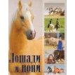 Лошади и пони. Владимир Митрофанович Жабцев. Фото 1