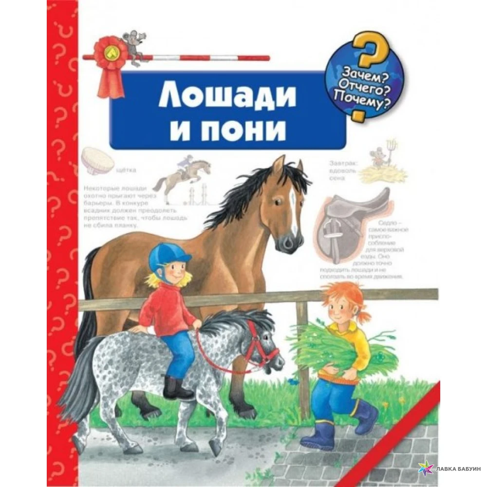 Купить книгу лошади. Книги о лошадях для детей. Книги про лошадей для детей 10 лет. Детская книга про лошадей. Книга лошади и пони.