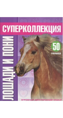 Лошади и пони. 50 супернаклеек; огромный двусторонний плакат