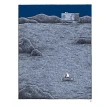 Лунный коп. Том Голд. Фото 2