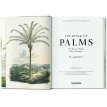 Martius. The Book of Palms. Ганс Вальтер Лак (H. Walter Lack). Фото 2