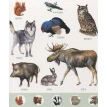 Моя первая энциклопедия животных. Фото 3