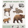 Моя первая энциклопедия животных. Фото 4
