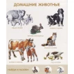 Моя первая энциклопедия животных. Фото 5
