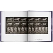 Muybridge. The Human and Animal Locomotion Photographs. Ганс Кристиан Адам (Hans Christian Adam). Фото 3