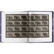 Muybridge. The Human and Animal Locomotion Photographs. Ганс Крістіан Адам (Hans Christian Adam). Фото 7